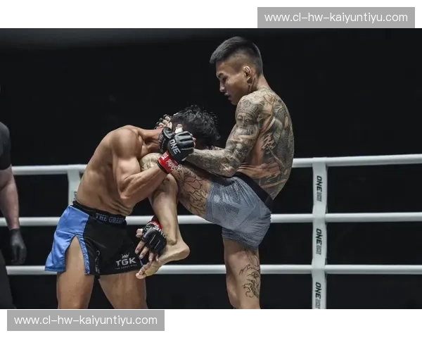 狂放的艺术与铁拳的咆哮：深度复盘vs潇杀狂视频背后的格斗美学